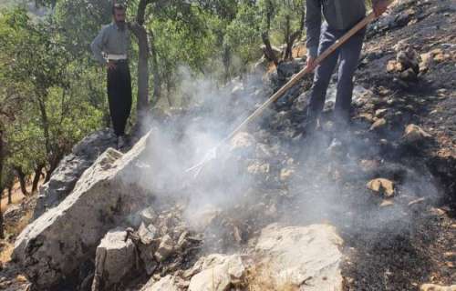 علت آتش‌سوزی باغ‌های دلفارد عامل انسانی اعلام شد